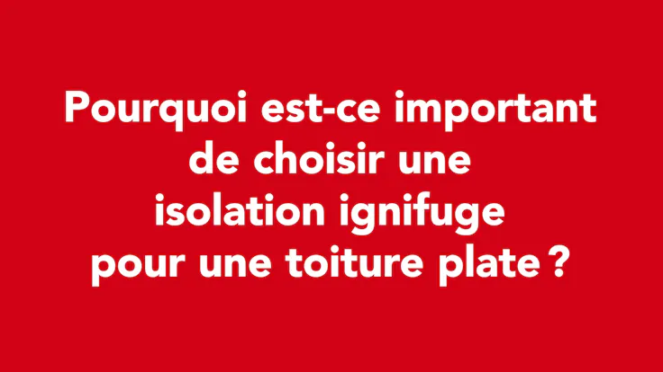 faq, fri, rw-bnl, be-fr, fr, video, belgium, mensen maken de connectie, les gens font la connexion