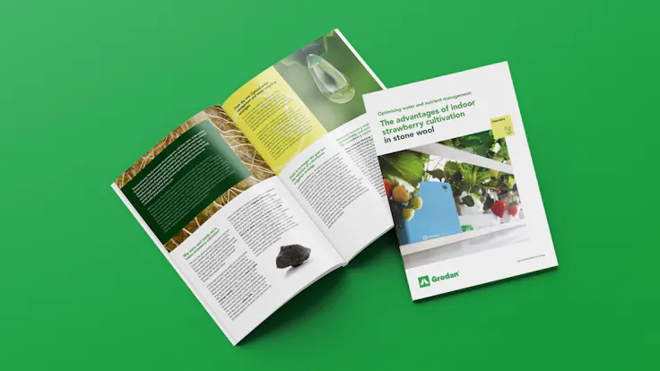 Mock-up Strawberry whitepaper water management