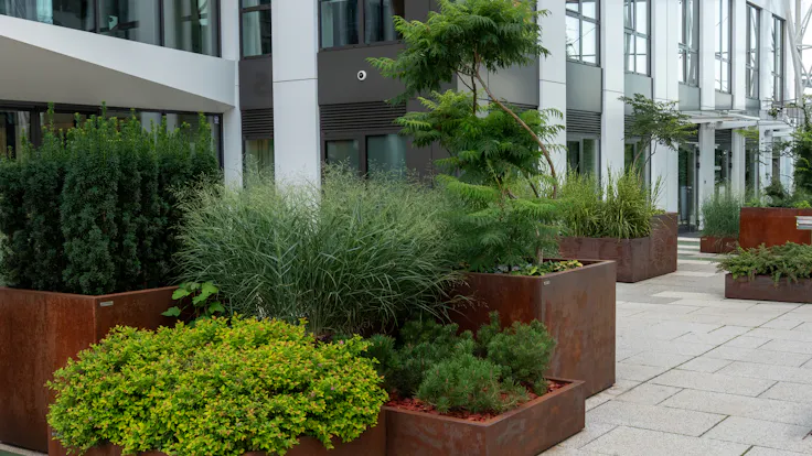 Contemporary office building features large, planters filled with lush greenery, creating a natural urban environment. Landscaping, beautiful flowerbeds in an urban environment. High quality photo