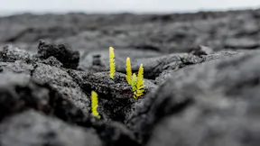 20221115 ByNature PHO 19
