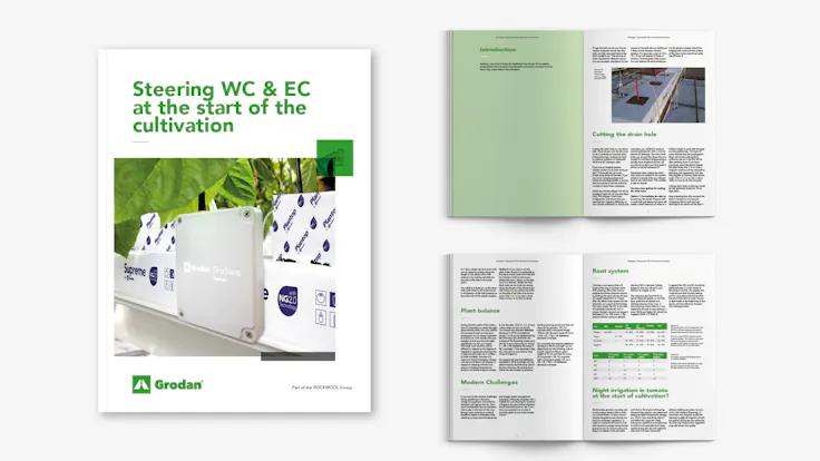 visual, whitepaper, TTL campaign, EC