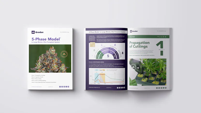 Grodan 5-Phase Model in Large Blocks Guide - Cover