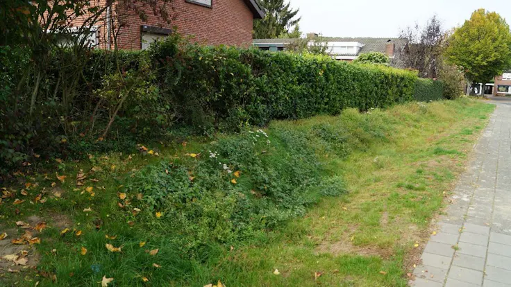 water management, sterplein, case, rockflow, heel, swale, lapinus