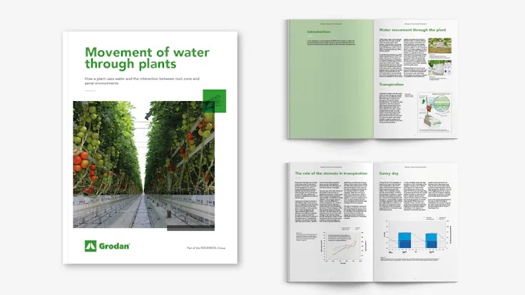 visual, whitepaper, TTL campaign, EC