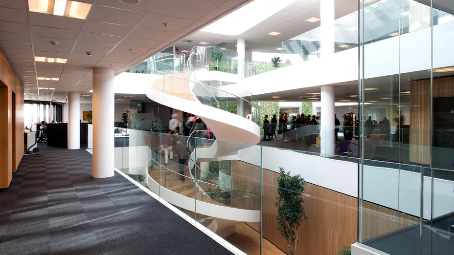 Rockfon Tropic acoustical ceiling tiles installed in office building.