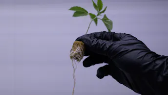 Endless Biotech Case Study (14)