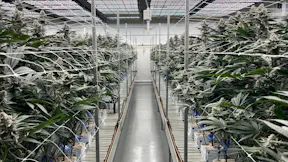 20260223 - GRNA PHO 106