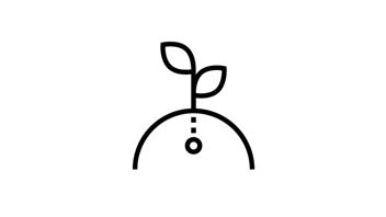 20230515 RW-RF ILLUS 1246