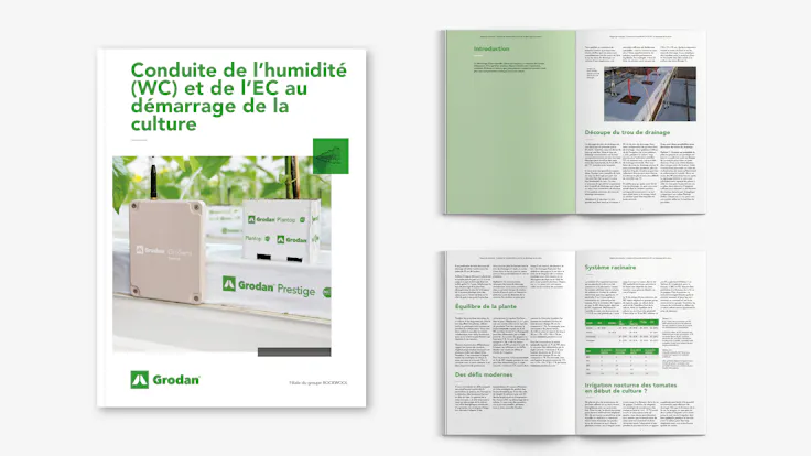 whitepaper, visual, mockup, steering WC and EC, FR