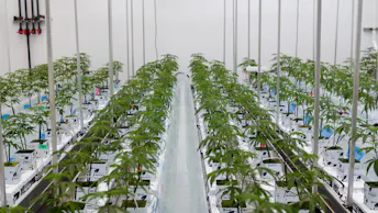 Endless Biotech Case Study (5)
