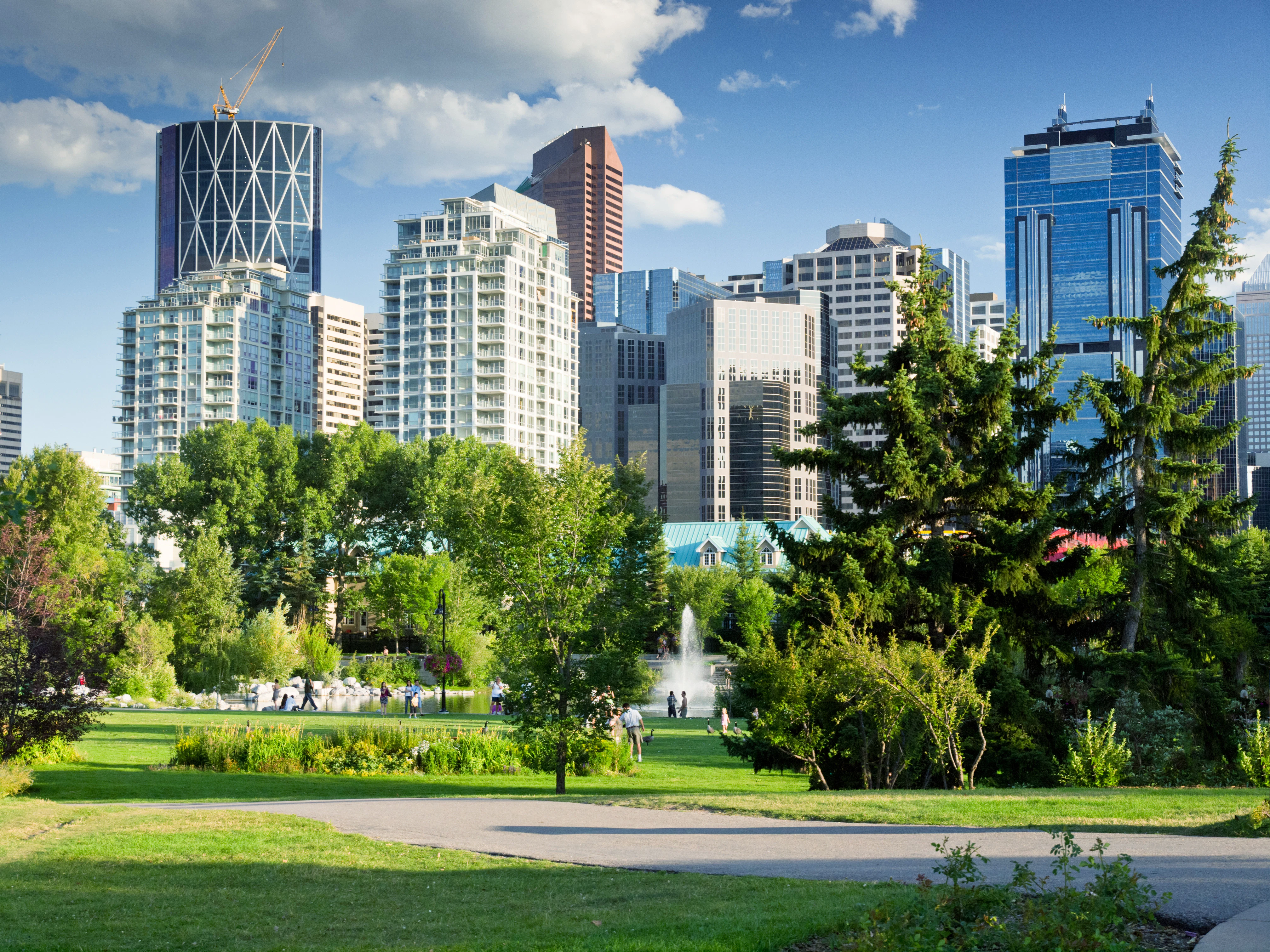 RockWorld imagery, The big picture, buildings, greenery, park, trees, city