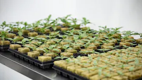 CRIC Labs - Propagation Shot