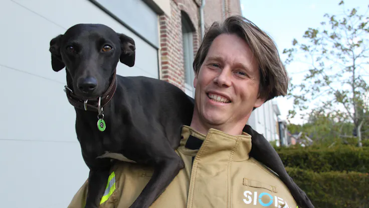 Brandhond