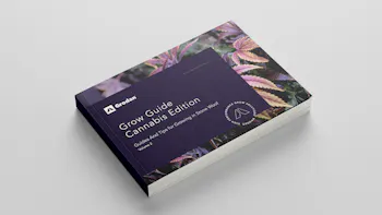 Cannabis Grow Guide