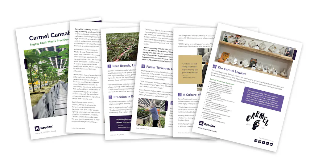 Carmel Cannabis Case Study Cover