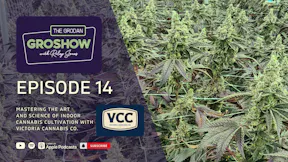 GroShow Podcast Ep 14 - Thumbnail