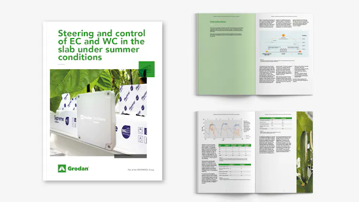 visual, whitepaper, TTL campaign, EC