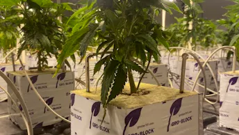 Smoker Farms Case Study (1)