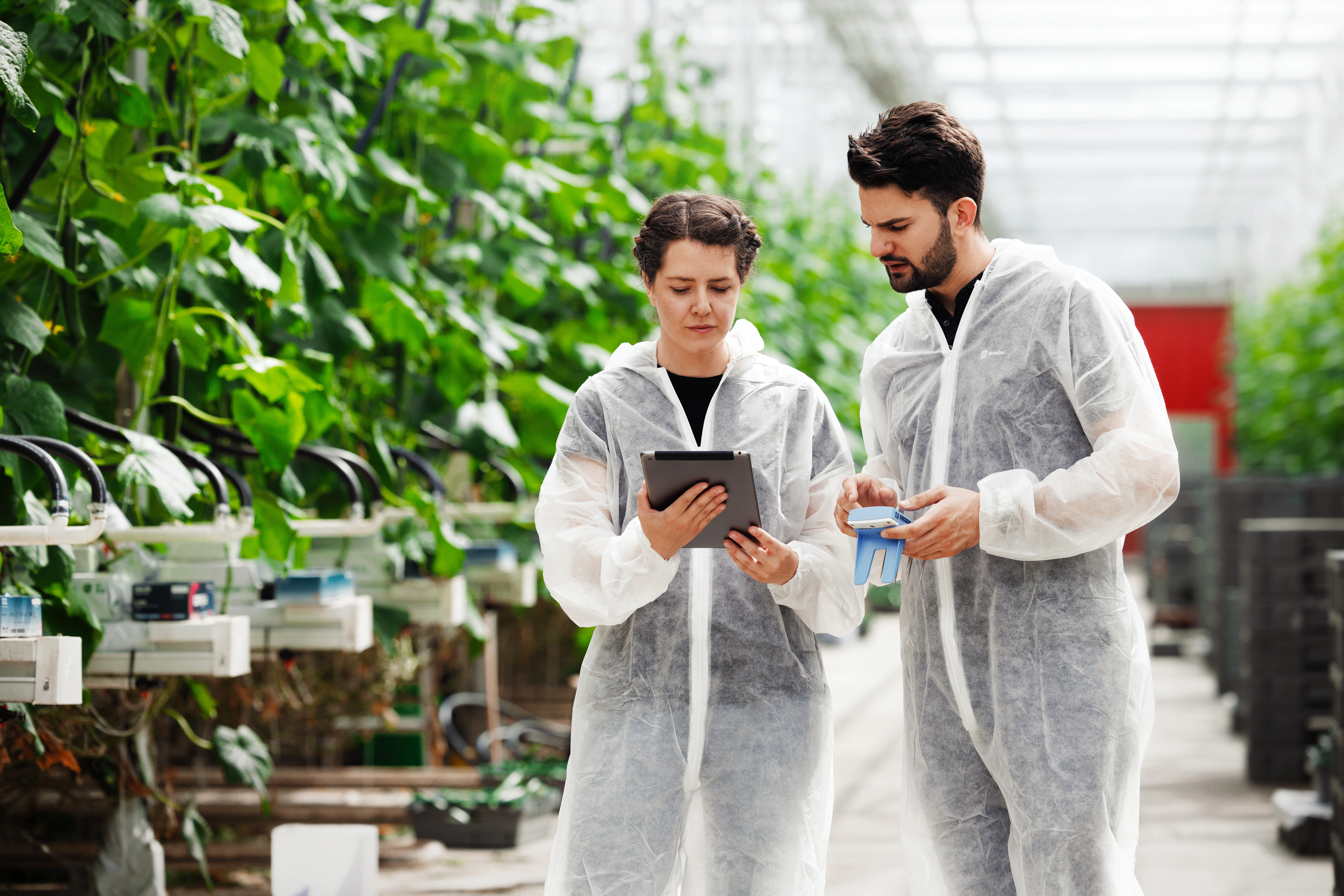 GroSens Suite product solution: GroSens 2.2 sensor, e-Gro software and Service Promise that ensures consistent data quality