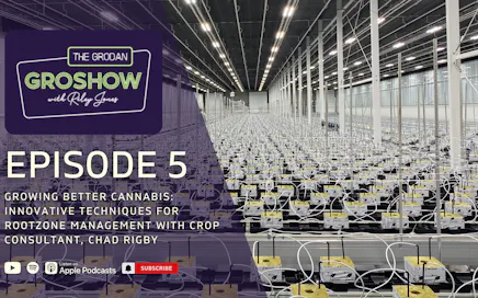 Growing Better Cannabis: Innovative Techniques for Rootzone Management with Crop Consultant, Chad Rigby