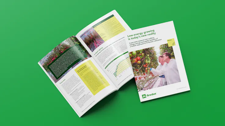 Grodan_Whitepaper Tomato Low Energy Trial Year 3_mock-up