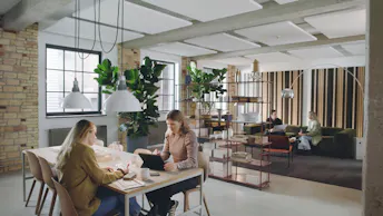 Rockfon Lamella Lounge Environment #3