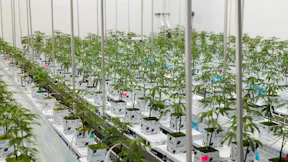 Endless Biotech Case Study (1)