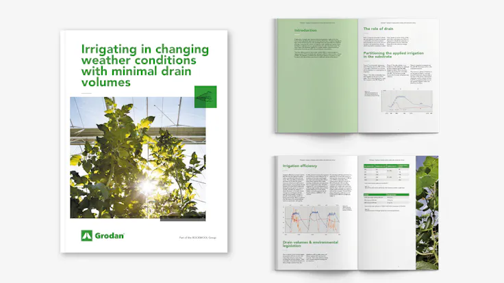 Grodan, visual, whitepaper, TTL, campaign