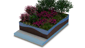 RWS_ENEN_FLORA_SPONGE_3D_RENDER_4139_003_WEB_PHASE_05