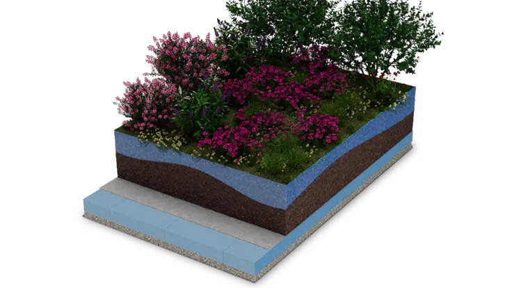 Flora Sponge