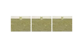 20210624 RW-CWE PROD 1154