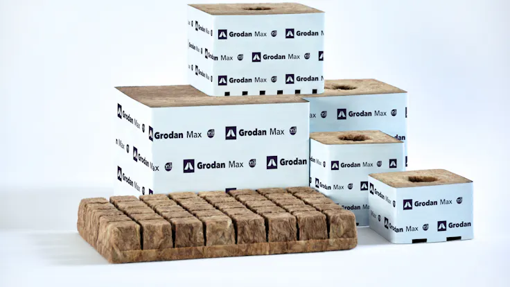 Grodan Max family of blocks and AOs