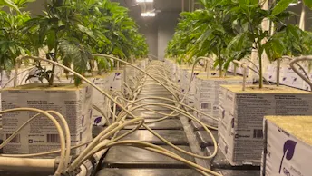 Smoker Farms Case Study (6)