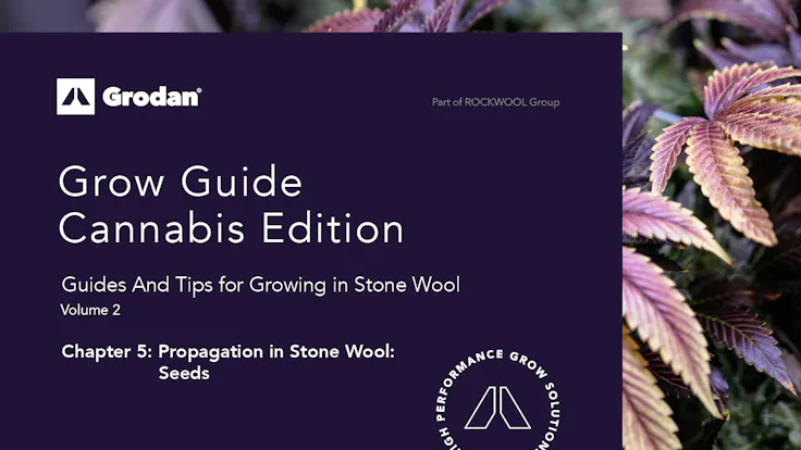Grow Guide - Seed Chapter mockl up for the Grow Guide.