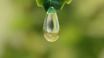 Grodan water drop