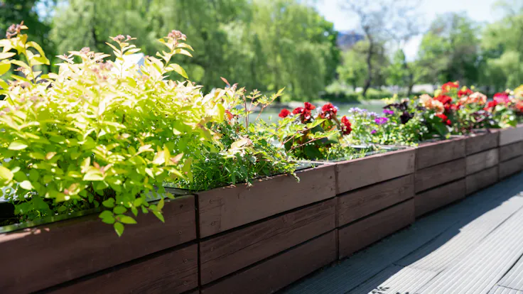 Modern landscape design with wooden boxes for outdoor plants on a sunny day. Beautiful summer flowers and green bushes in long wooden planters outside.