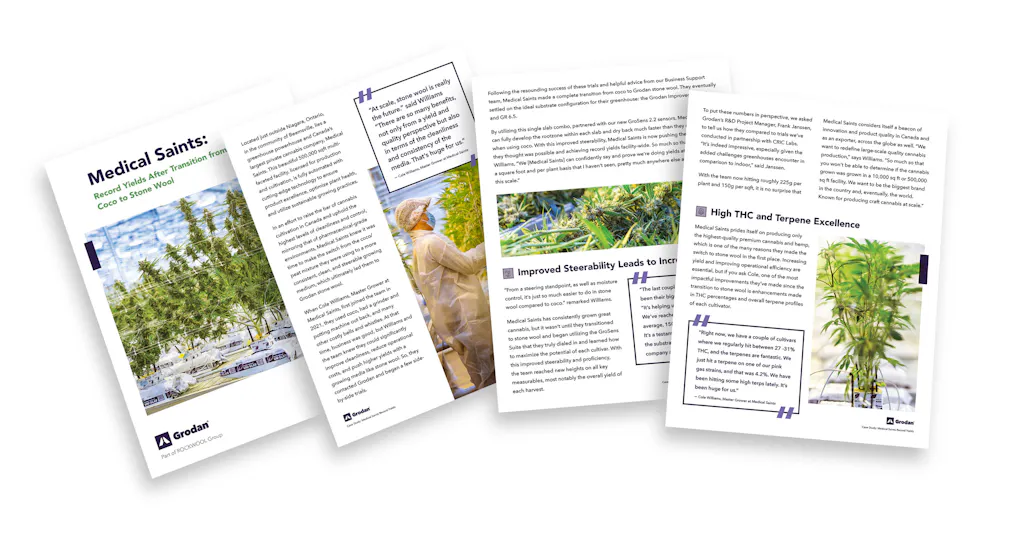 Case Study - Medical Saints