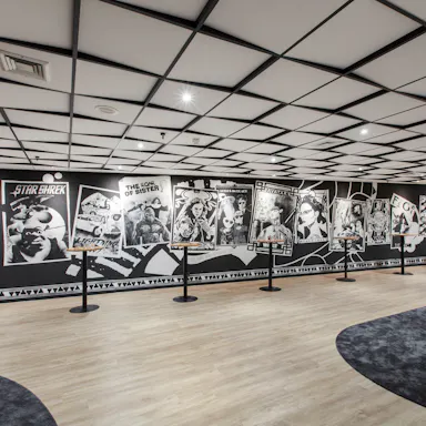NL, Zeist, Hotel Theater Figi, Gerben van der Molen, Stars Design, Leisure, Auditorium, Concert Hall, Rockfon Blanka, A-edge, 600x600, white, T24 Black - new 3D application