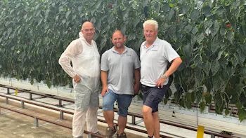 Tangmere UK pepper grower