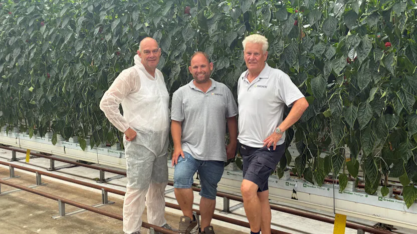 Tangmere UK pepper grower