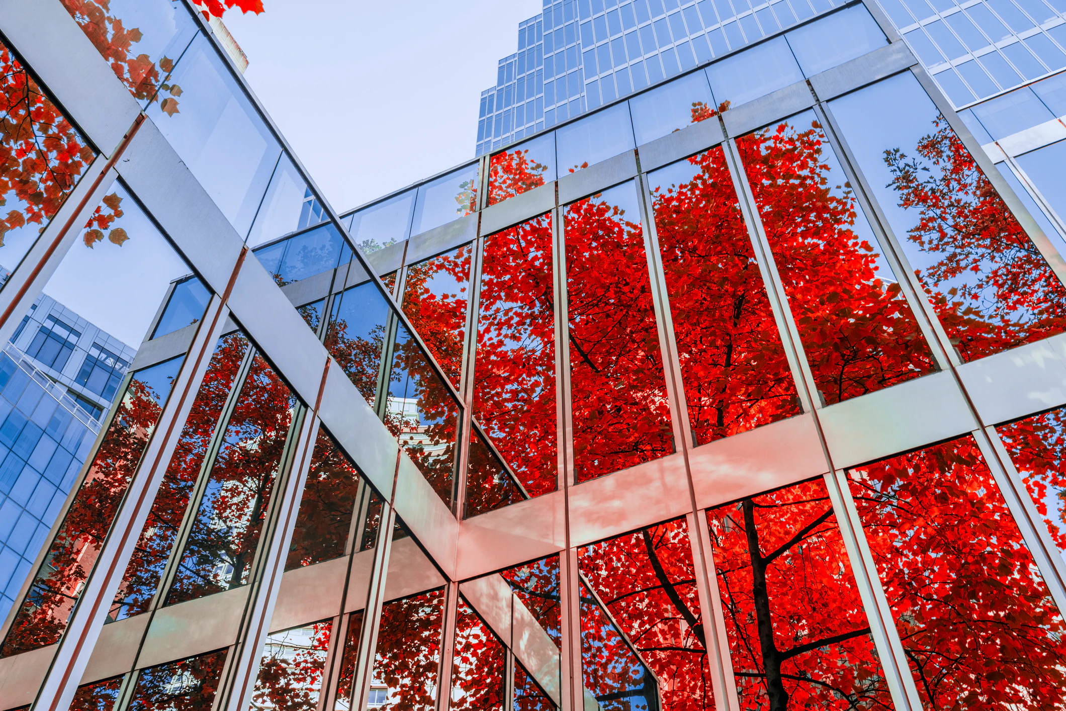 Commercial building with reflection