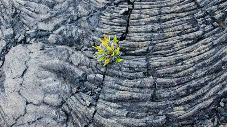 ROCKWOOL By Nature Properties CIRCULAR