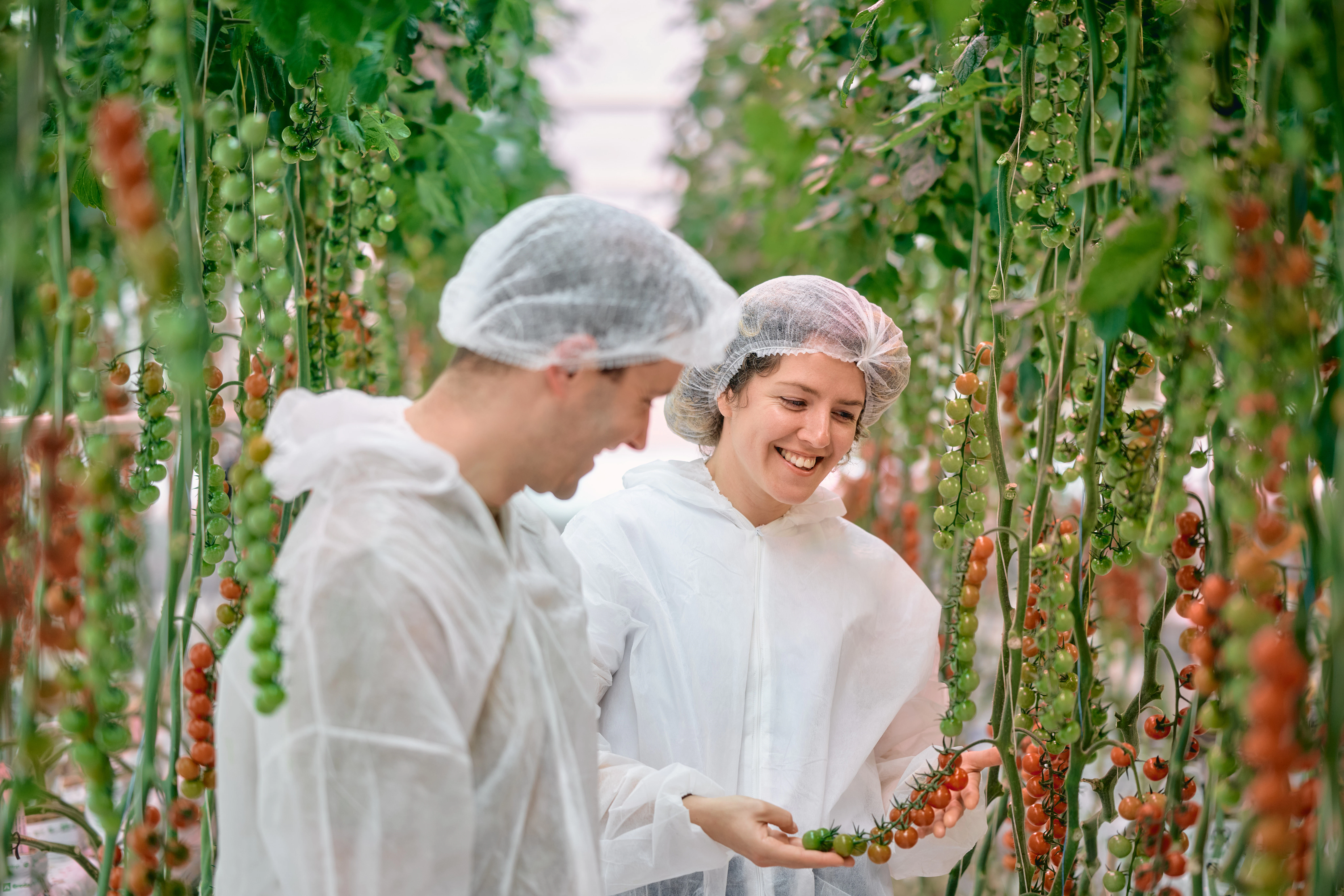 Employer Branding Botany tomato trial April 2024 Cyrille Puts and Anna Kovacs