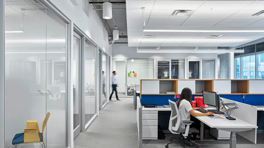 Sonar SLT 2x4 acoustical panels in an open office plan