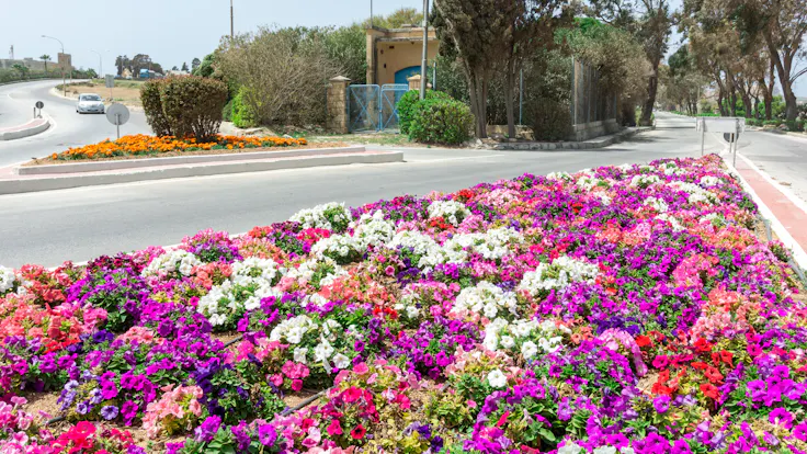Flowers arrangement and roundabouts