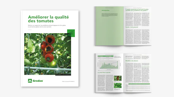 whitepaper, visual, mockup, improving tomato fruit quality, FR