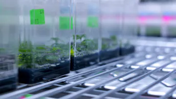 Endless Biotech Case Study (13)
