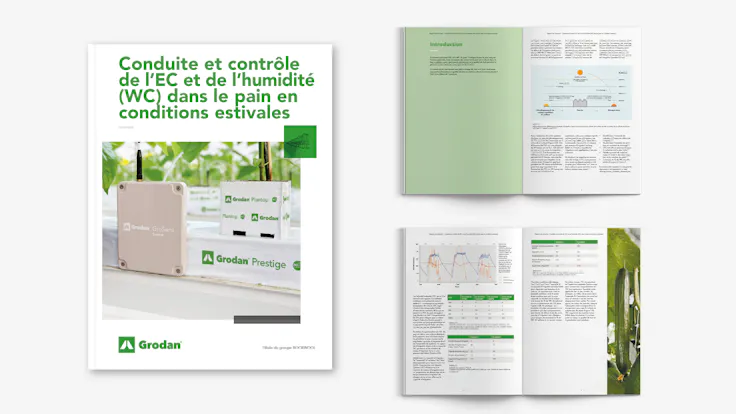 whitepaper, visual, mockup, EC, WC, Steering, Control, FR