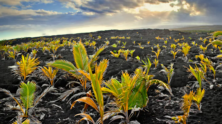 ROCKWOOL By Nature Properties BREATHABLE, additional images