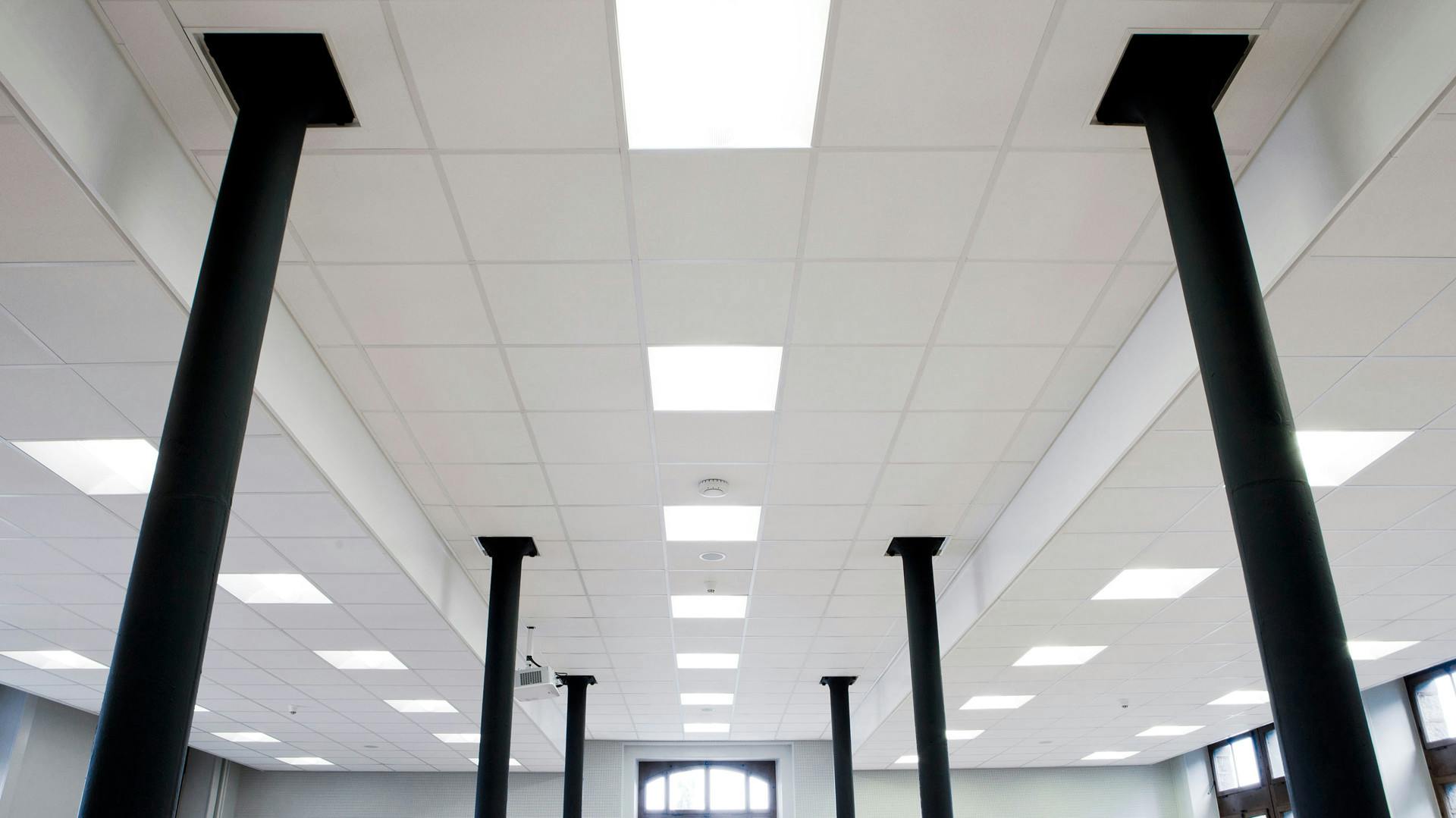 Rockfon Pacific Acoustical Ceiling Tiles, 2×4 Ceiling Tile Alternatives